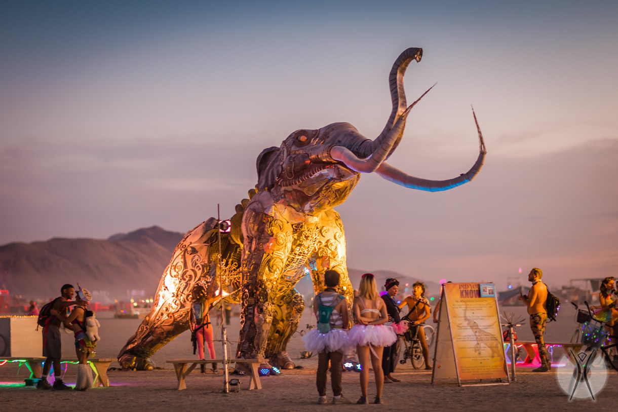 Burning Man (USA) | Tribal Reunion
